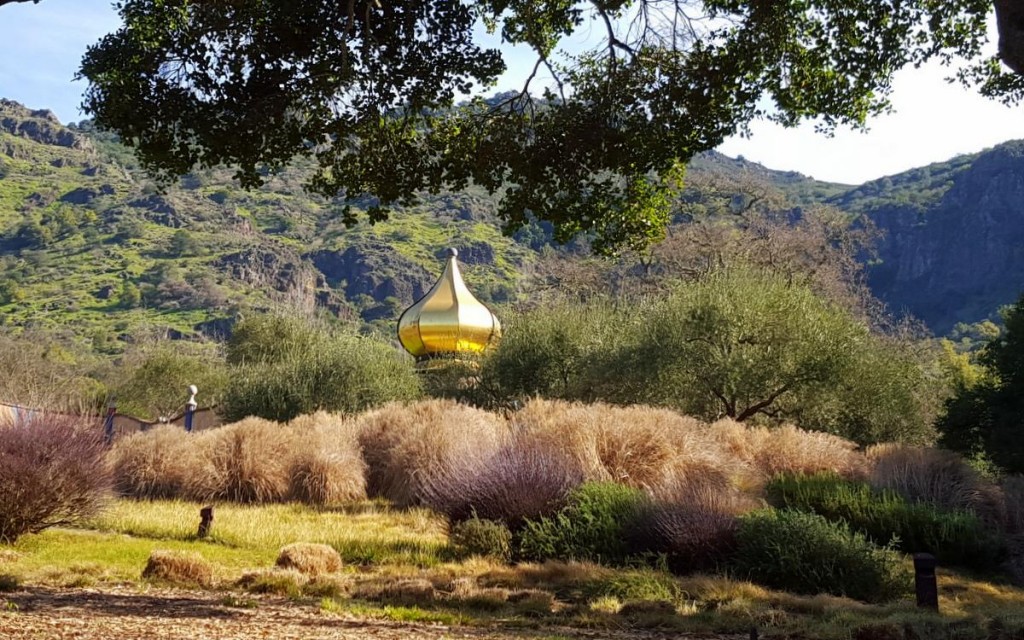 Chappellet 蓋在一個隱密的山丘